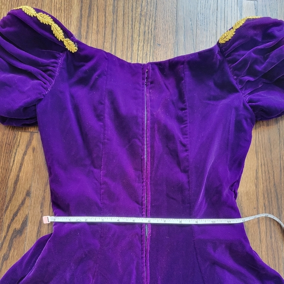 Vintage Noir Karen Lucas for Niki gown purple velvet with gold trim - Picture 8 of 10